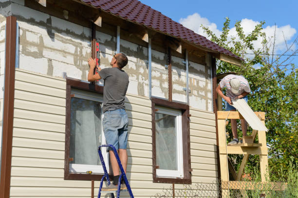 Best Custom Trim and Detailing for Siding  in Felton, DE